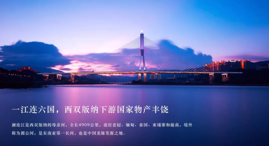 1627458755332592.jpg 6406.jpg